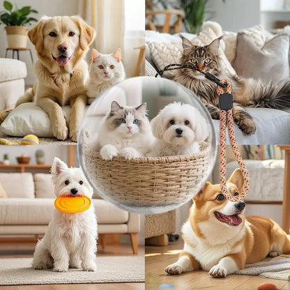 HolidayAndBeyond™ Memory Orb